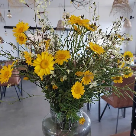 Quinta Da Pedrulha Aparthotel Valhelhas