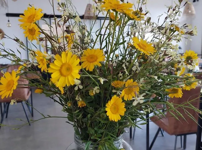 Quinta Da Pedrulha 公寓式酒店 Valhelhas